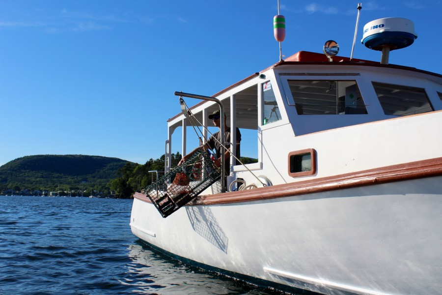 lobster tours in maine